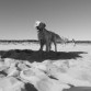 Todo un adolescente disfrutando de la playa!!